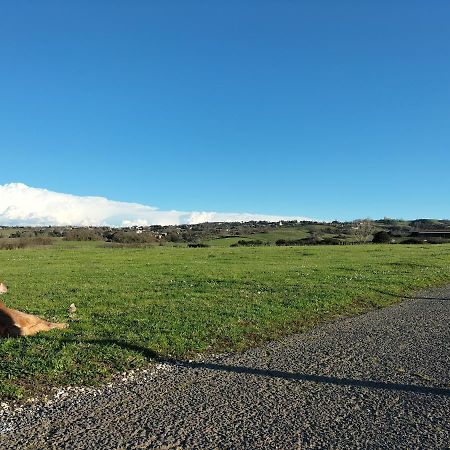 Rod Ranch Livestock - Appartamento Con Camino E Vista Piscina Campagnano Di Roma Ngoại thất bức ảnh