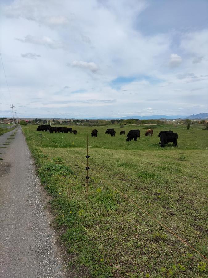 Rod Ranch Livestock - Appartamento Con Camino E Vista Piscina Campagnano Di Roma Ngoại thất bức ảnh