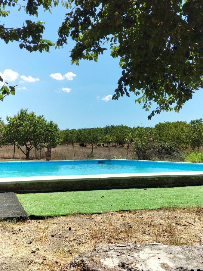 Rod Ranch Livestock - Appartamento Con Camino E Vista Piscina Campagnano Di Roma Ngoại thất bức ảnh
