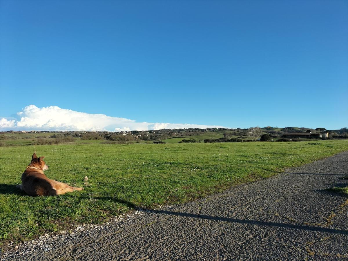 Rod Ranch Livestock - Appartamento Con Camino E Vista Piscina Campagnano Di Roma Ngoại thất bức ảnh